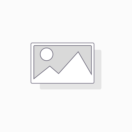 VERA двухпатронный светильник бук