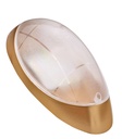 Koza Wall Sconce Gold