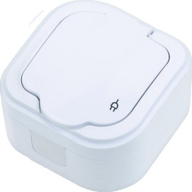 SURFACE MOUNT UPS EARTHED SOCKET WITH OVER